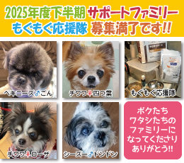 サポートファミリー